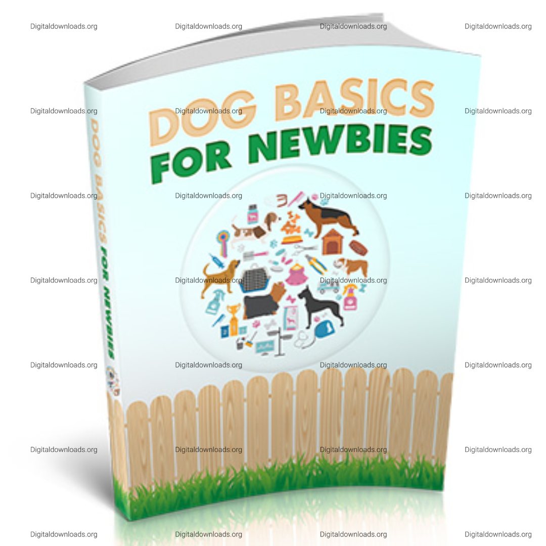 Dog Basics For Newbies – Essential Guide for First-Time Dog Owners