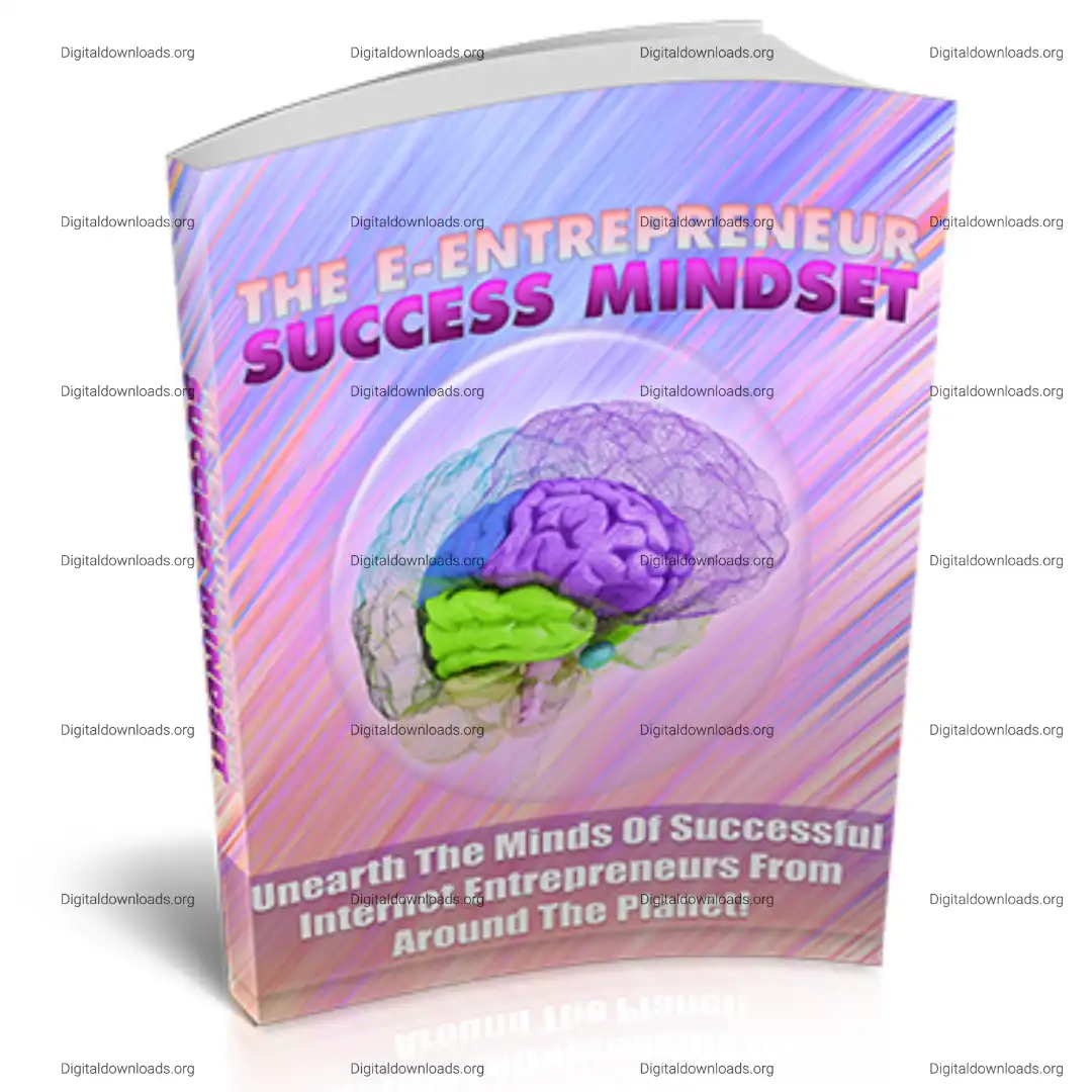 Netrepreneur Success Mindset